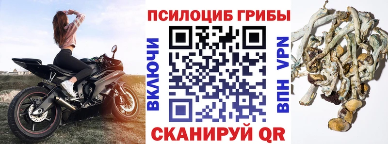 Галлюциногенные грибы мухоморы  KRAKEN tor  Тотьма 